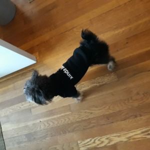 Meet your Posher, Shayla